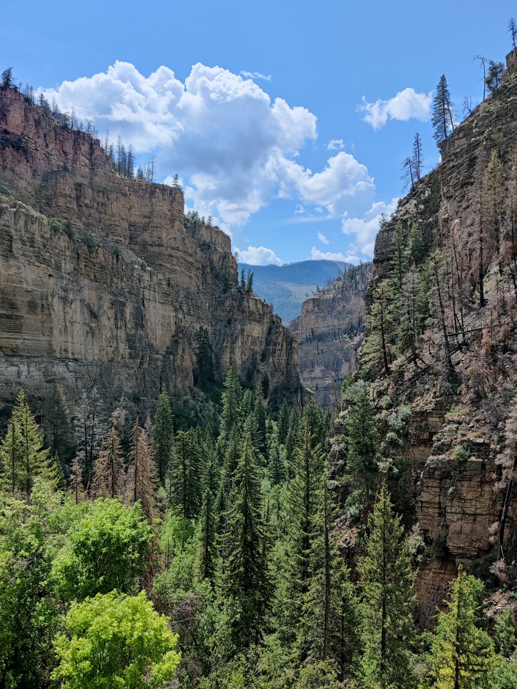 Are you worried about wildfire?